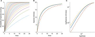 Optimizing Species Richness in Mosaic Landscapes: A Probabilistic Model of Species-Area Relationships